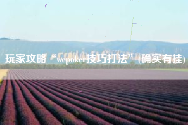 玩家攻略“wepoker技巧打法”(确实有挂)