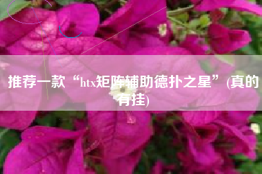 推荐一款“htx矩阵辅助德扑之星”(真的有挂)