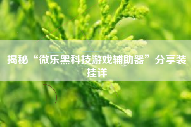 揭秘“微乐黑科技游戏辅助器	”分享装挂详