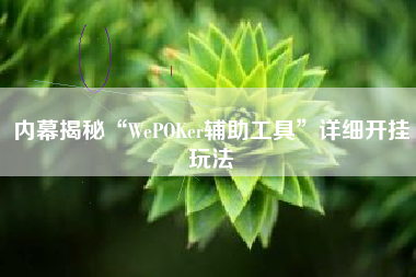 内幕揭秘“WePOKer辅助工具	”详细开挂玩法