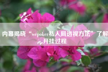 内幕揭晓“wepoker私人局透视方法	”了解开挂过程