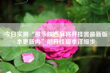 今日实测“微乐陕西麻将开挂器最新版本更新内”附开挂脚本详细步