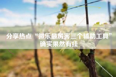 分享热点“微乐最厉害三个辅助工具”确实果然有挂