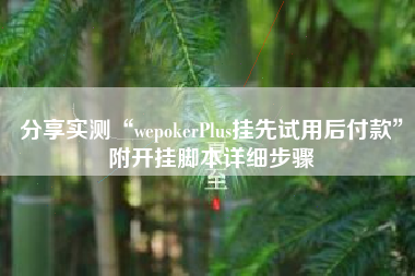 分享实测“wepokerPlus挂先试用后付款”附开挂脚本详细步骤