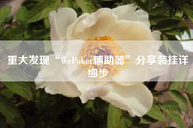 重大发现“WePoker辅助器	”分享装挂详细步