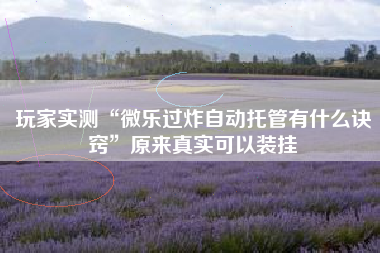 玩家实测“微乐过炸自动托管有什么诀窍	”原来真实可以装挂