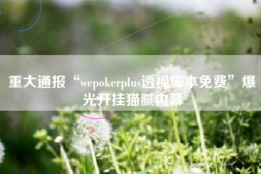 重大通报“wepokerplus透视脚本免费”爆光开挂猫腻内幕