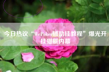 今日热议“WePoker辅助挂教程”爆光开挂猫腻内幕