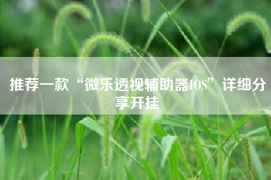 推荐一款“微乐透视辅助器IOS	”详细分享开挂