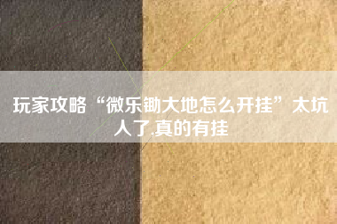 玩家攻略“微乐锄大地怎么开挂”太坑人了,真的有挂