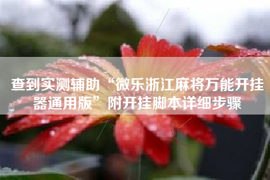 查到实测辅助“微乐浙江麻将万能开挂器通用版”附开挂脚本详细步骤