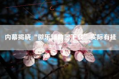 内幕揭晓“微乐辅助器下载	”实际有挂