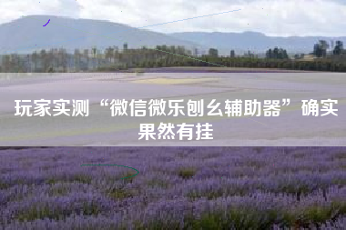 玩家实测“微信微乐刨幺辅助器”确实果然有挂