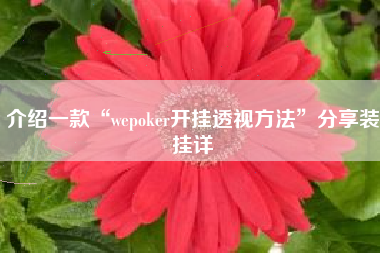 介绍一款“wepoker开挂透视方法”分享装挂详
