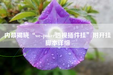 内幕揭晓“we-poker透视插件挂”附开挂脚本详细