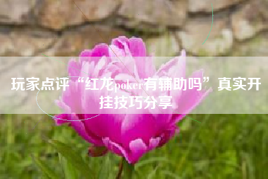 玩家点评“红龙poker有辅助吗”真实开挂技巧分享