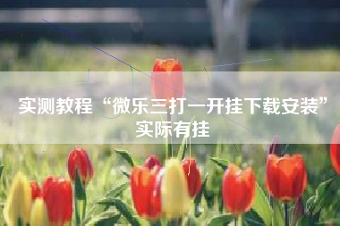 实测教程“微乐三打一开挂下载安装	”实际有挂