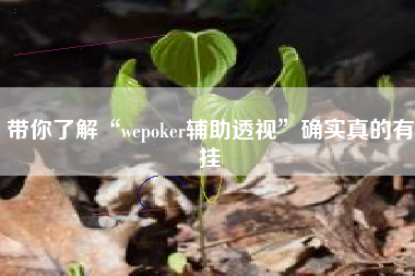 带你了解“wepoker辅助透视”确实真的有挂