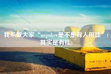 我来教大家“wepoker是不是有人用挂”(其实是有挂)