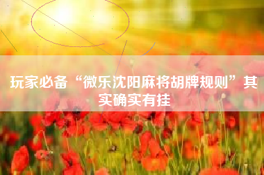 玩家必备“微乐沈阳麻将胡牌规则”其实确实有挂