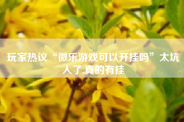 玩家热议“微乐游戏可以开挂吗”太坑人了,真的有挂