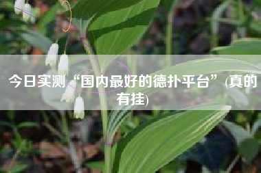 今日实测“国内最好的德扑平台	”(真的有挂)