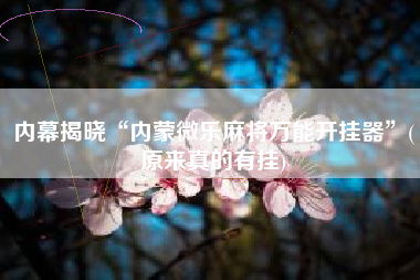 内幕揭晓“内蒙微乐麻将万能开挂器”(原来真的有挂)