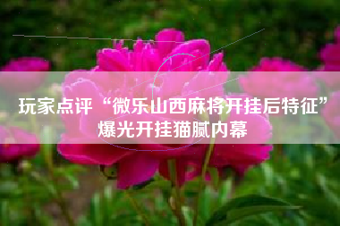 玩家点评“微乐山西麻将开挂后特征”爆光开挂猫腻内幕