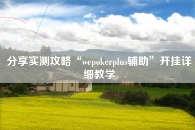 分享实测攻略“wepokerplus辅助”开挂详细教学