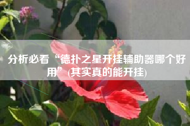 分析必看“德扑之星开挂辅助器哪个好用”(其实真的能开挂)