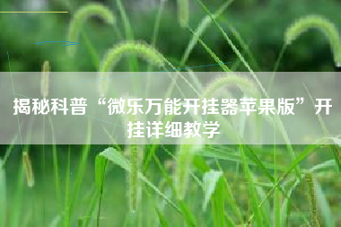 揭秘科普“微乐万能开挂器苹果版”开挂详细教学
