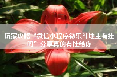 玩家攻略“微信小程序微乐斗地主有挂吗	”分享真的有挂给你