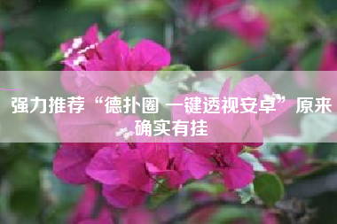 强力推荐“德扑圈 一键透视安卓”原来确实有挂