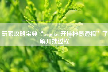 玩家攻略宝典“wepoker开挂神器透视	”了解开挂过程