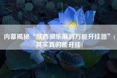 内幕揭秘“陕西微乐麻将万能开挂器”(其实真的能开挂)
