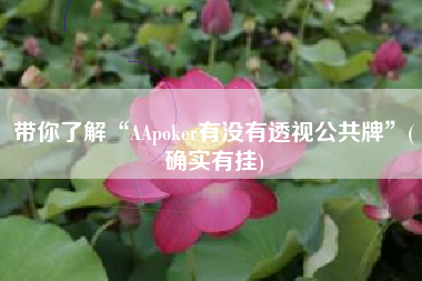 带你了解“AApoker有没有透视公共牌	”(确实有挂)