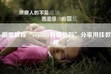 指定教程“wepoker有辅助吗	”分享用挂教程