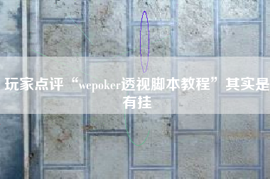 玩家点评“wepoker透视脚本教程	”其实是有挂