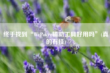 终于找到“WePoker辅助工具好用吗	”(真的有挂)