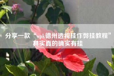 分享一款“wpk德州透视挂作弊挂教程”其实真的确实有挂