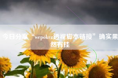 今日分享“wepoker透视脚本链接”确实果然有挂