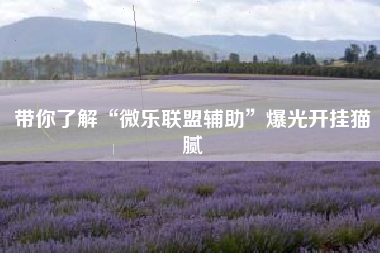 带你了解“微乐联盟辅助”爆光开挂猫腻