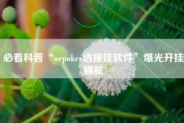 必看科普“wepoker透视挂软件	”爆光开挂猫腻