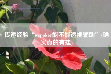 传递经验“wepoker能不能透视辅助”(确实真的有挂)