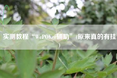 实测教程“WePOKer辅助”(原来真的有挂)
