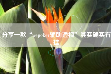 分享一款“wepoker辅助透视”其实确实有挂