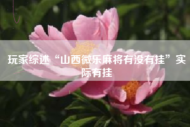 玩家综述“山西微乐麻将有没有挂	”实际有挂