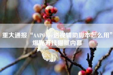 重大通报“AAPOKer透视辅助脚本怎么用”爆光开挂猫腻内幕
