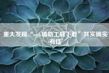 重大发现“wpk辅助工具下载”其实确实有挂