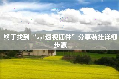 终于找到“wpk透视插件”分享装挂详细步骤